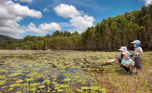 cattana wetlands