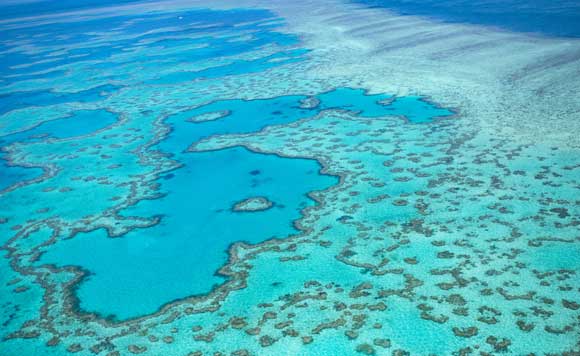 Great Barrier Reef