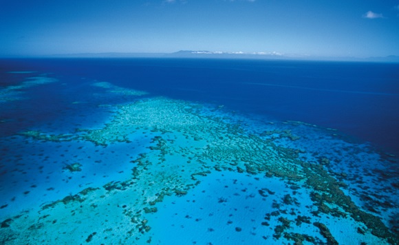 reef water quality targets