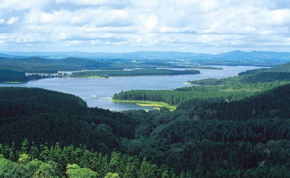 tablelands regional council