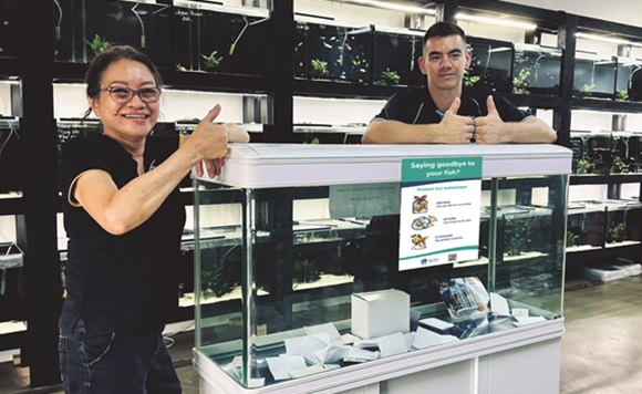 aquarium fish